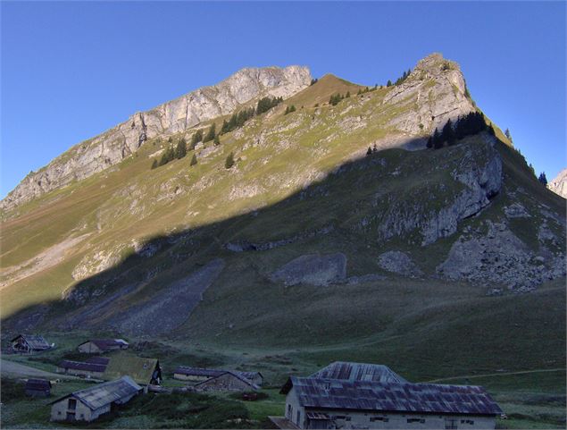 Alpage de Bise - SavoieMontBlanc-Lansard