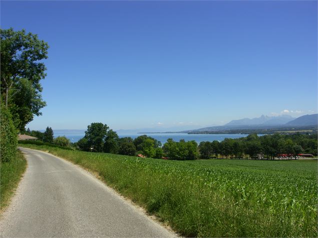 Chemin de Cérésy - Mairie