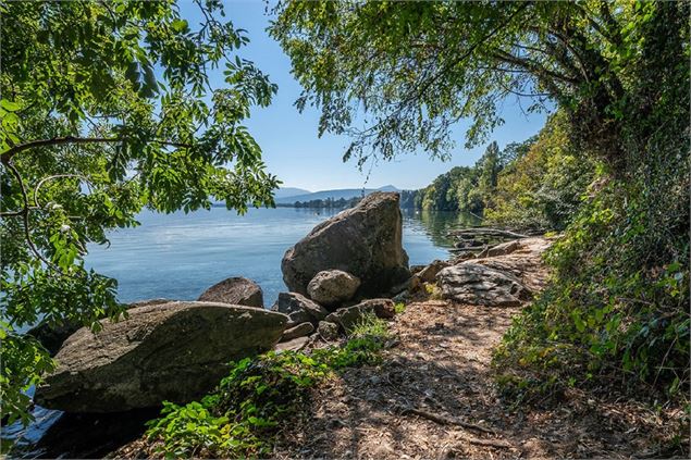 Domaine de Rovorée la Châtaingière - Destination Léman / A. Berger