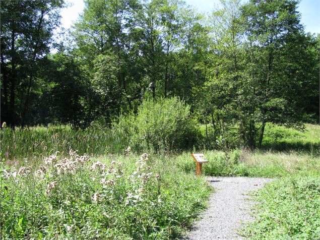Chemin en peine nature à Excenevex - Destination Léman / A. Berger