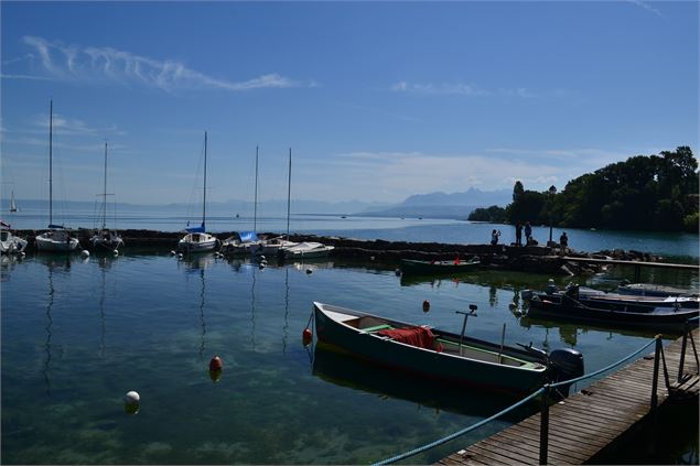 photo - L. Guette CD74