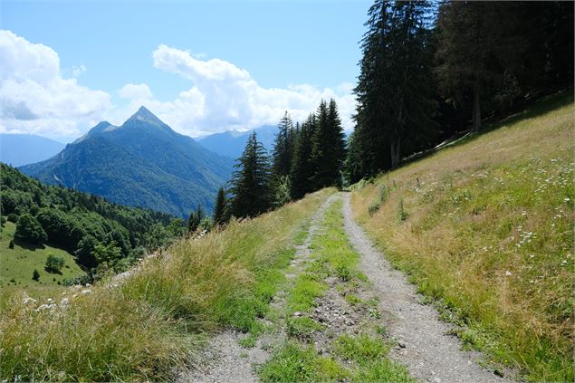 Sentier Tour de la Tulle - photo sous licence Creative Commons CC BY 2.0 https://creativecommons.org