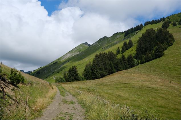 Sentier Tour de la Tulle - photo sous licence Creative Commons CC BY 2.0 https://creativecommons.org