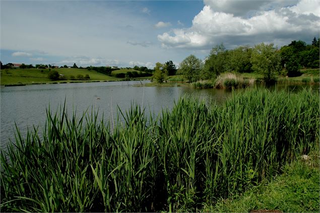 Le Lac de Machilly - Annemasse Agglo - B. Pilia