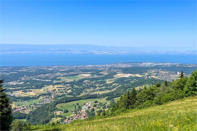 Vue lac - Destination Léman - C.Vuillequez