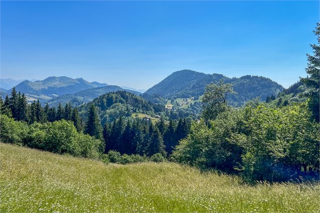 Vue sur les sommets - Destination Léman - C.Vuillequez