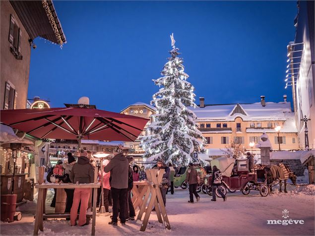 place_du_village - mairie_de_megeve