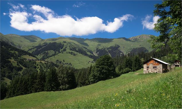 Vue depuis le Pré sur la boucle de la Duy - Bozel - Geoffrey Vabre