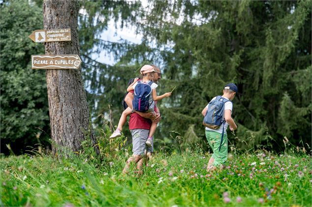 Sur le chemin de la pierre à cupules_Feissons-sur-Salins - Elisabeth Gayard