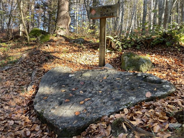 Pierre à cupules - Feissons sur Salins - Elisabeth Gayard