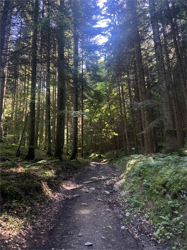 Sentier Chevran - CAMT