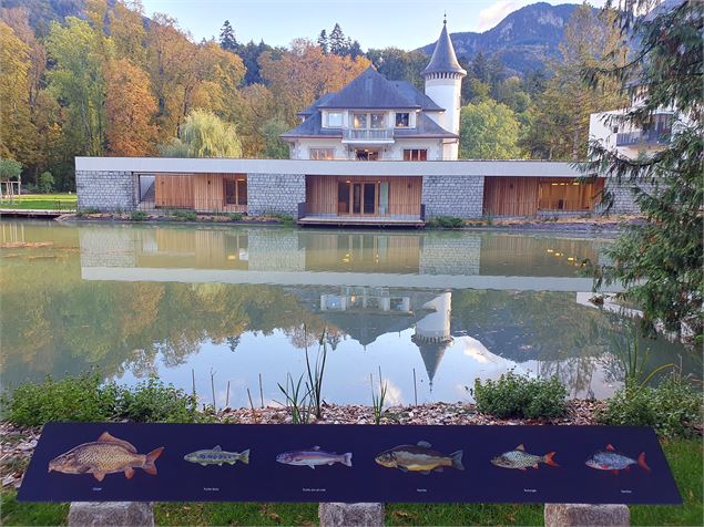 Villa Cohendier - Villa Cohendier