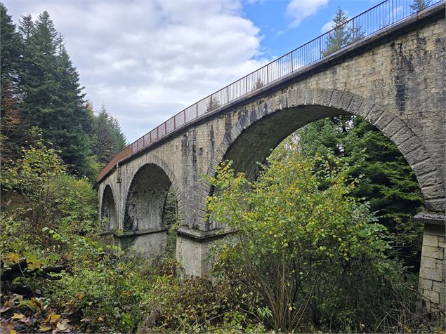 Sur les traces de la crémaillère_Viaduc - OT Aix - Fouger