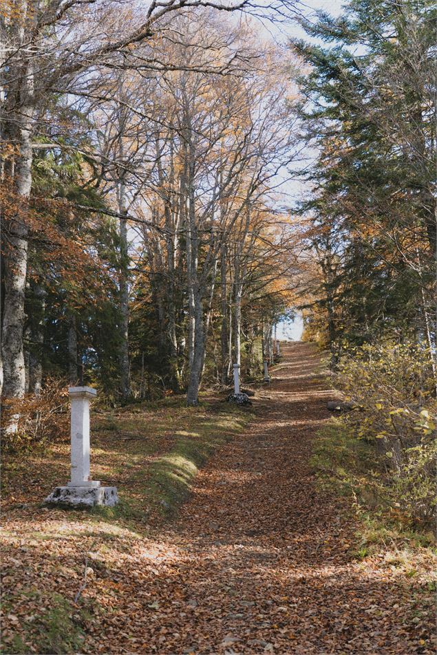 Le calvaire en automne - Sixtine Voisin - OT Alpes du Léman