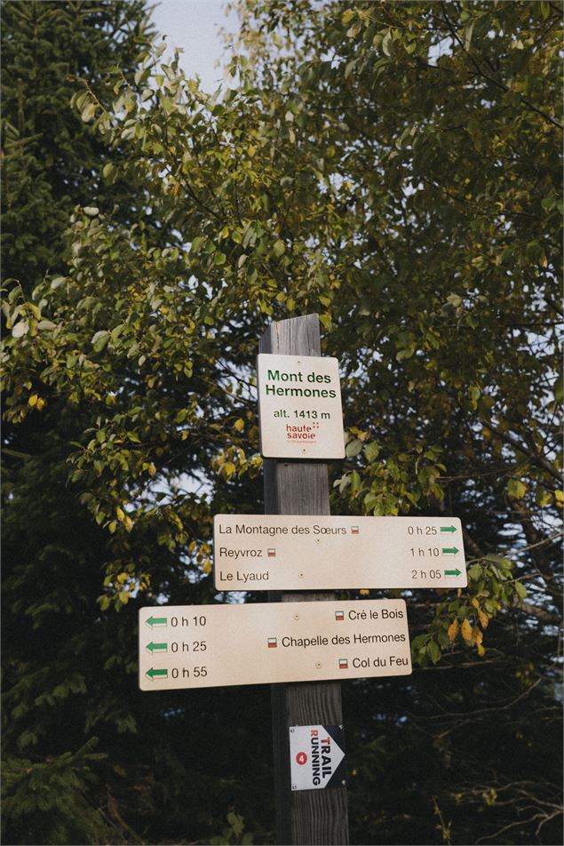 Mont des Hermones à mi-chemin Montagne des soeurs Reyvroz et Chapelle