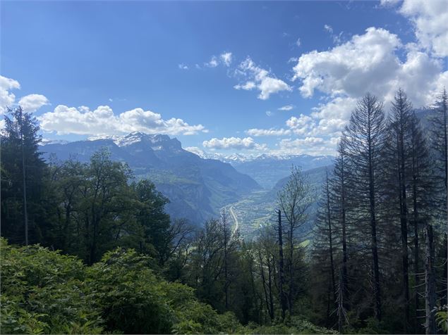 Vue depuis le sentier - CAMT