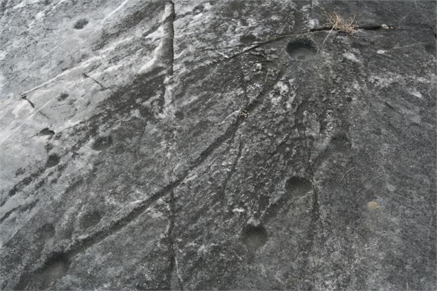 Pierre à cupules de Saint Marcel