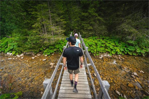 Vallon de They - Région Dents du Midi
