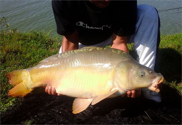 Carpe - Communauté de Communes du Canton de Chalamont