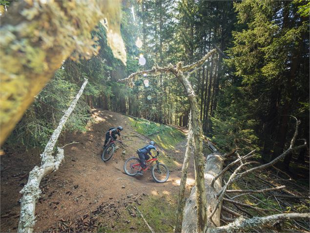 Hot Wheels - VTTAE - Cross Country