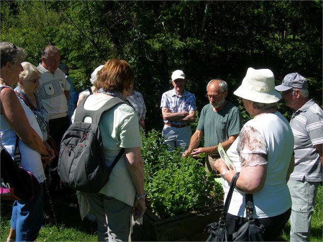 Au jardin... - F.Pajot