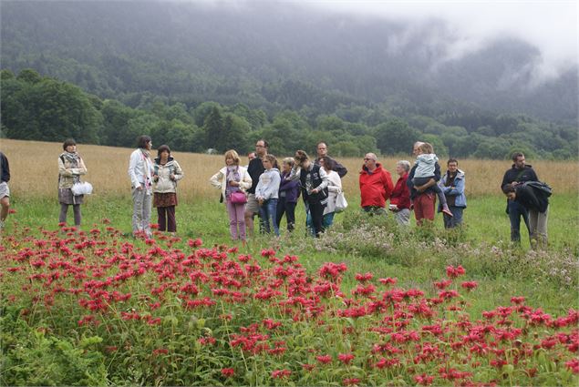 Visite guidée - F.Pajot