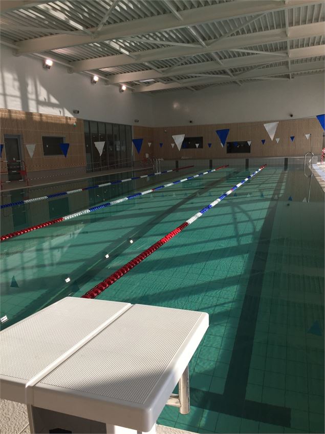 Bassin de nage - Lavi Perchik