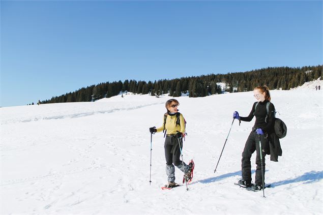 Plateau des Glières - DR/Faucigny Glières Tourisme