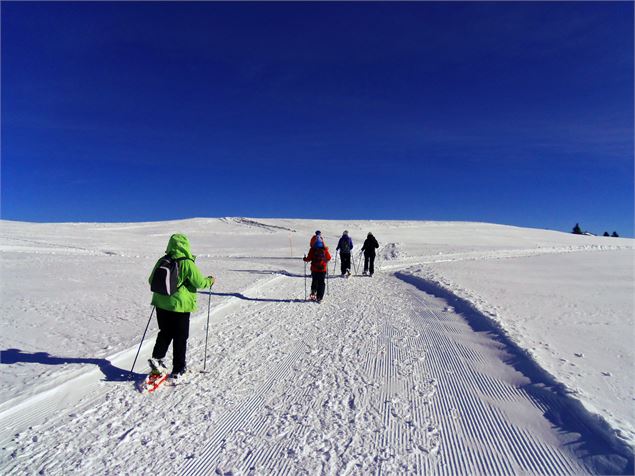 Raquettes - Faucigny Glières Tourisme