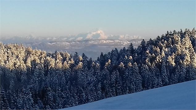 Vue depuis les crêtes à la Praille