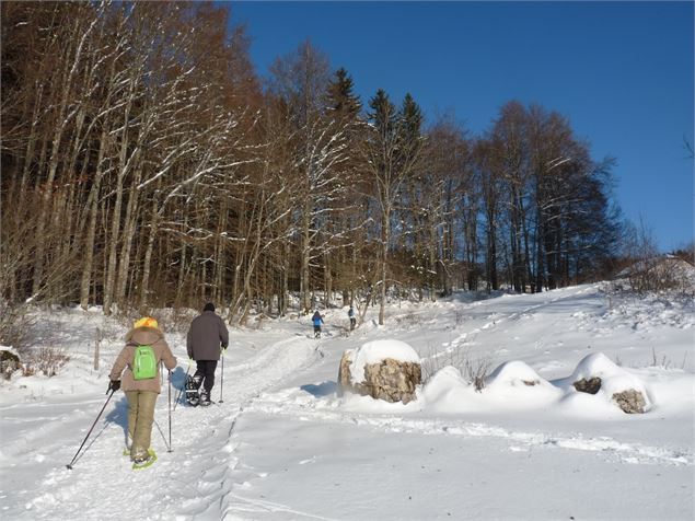 Piste rouge d'Apremont - Circuit raquettes - Daniel Gillet - Haut-Bugey Agglomération
