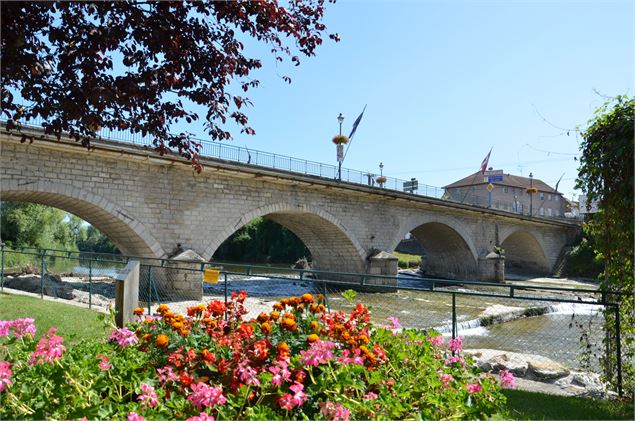 le pont de St Genix sur le Guiers - Anthony Cottarel