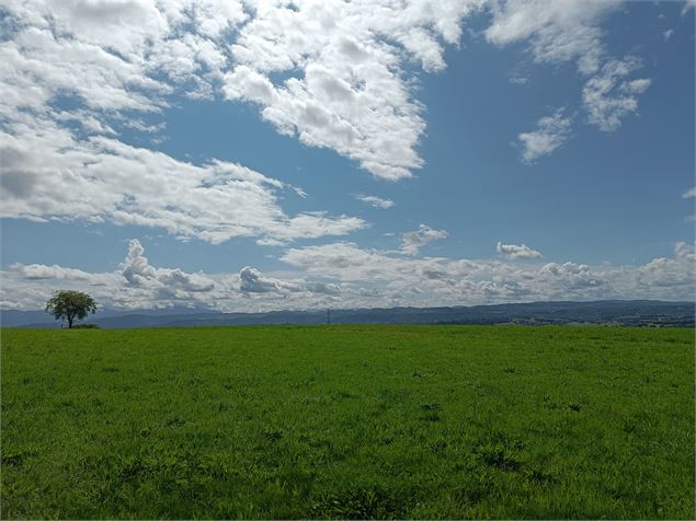 Vue panoramique sur la Chartreuse Sentier les Hauts de St-Genix St-Genix-sur-Guiers St-Genix-les-Vil