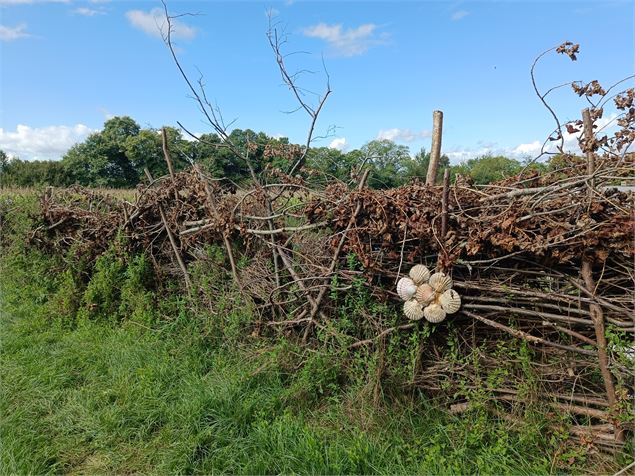 Retour par le GR 65 Chemin de Compostelle sur le sentier Les Hauts de St Genix St-Genix-sur-Guiers -