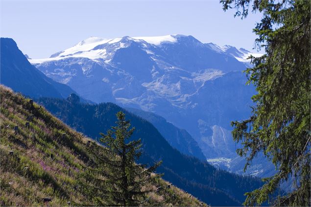 En admirant les glaciers de la Vanoise - OTGP