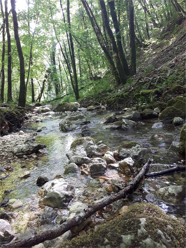 rivière sauvage près de Bénonces - Sabrina Megani / Plaine de l'Ain Tourisme