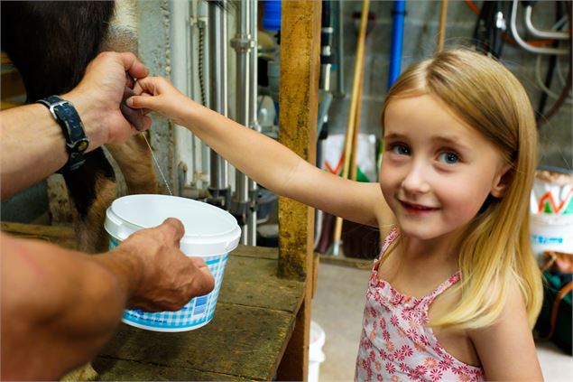 Ferme du Petit Mont - 