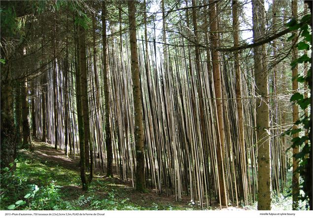 Sentier Nature - OT Monts du Genevois - A.Modylevskaia