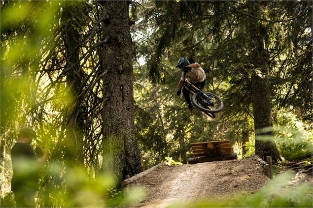 Piste VTT Coup de fouet du Bike Park de Châtel - L.Meyer - Châtel