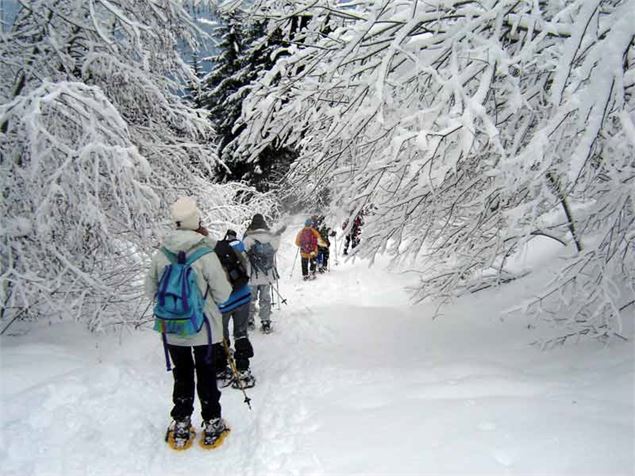 RaquettesFG - Haut-Giffre Tourisme