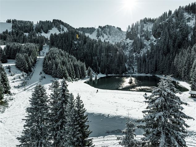 Le lac de la Mouille en hiver - L.Meyer -Châtel