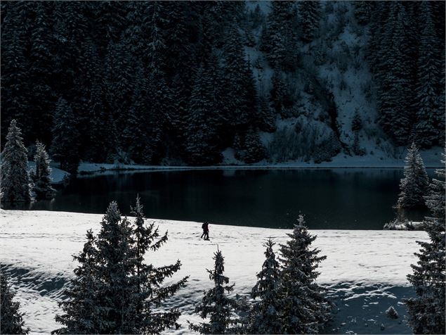 Le lac de la Mouille en hiver - L.Meyer -Châtel