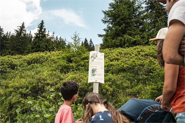 Famille qui lit un panneau du sentier des oiseaux - L.Meyer - Châtel