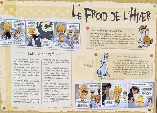 Sentier de l'Éterlou - Panneau sur le froid de l'hiver et  l'effet sur la faune - Châtel Tourisme