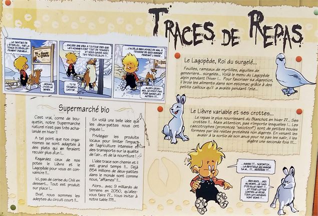 Sentier de l'Éterlou - Panneau en gros plan sur le thème des traces de repas insolite de  certains a