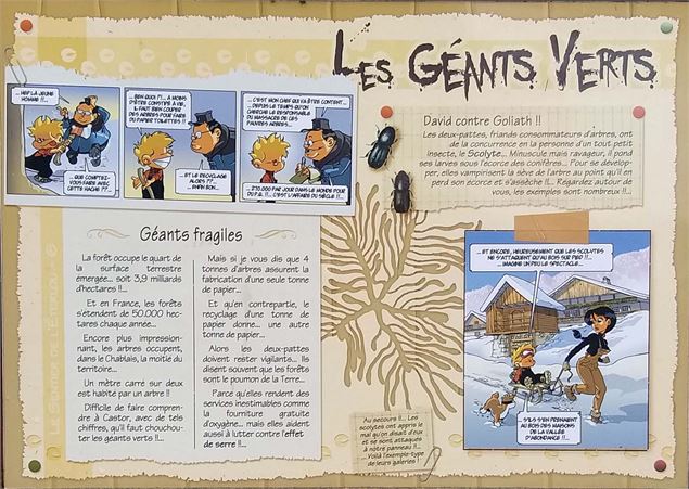 Sentier de l'Éterlou - Panneau sur les géants verts - thème sur les arbres de la forêt - Châtel Tour