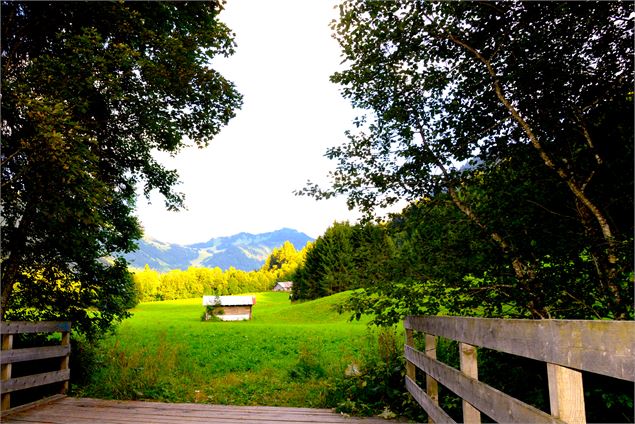 Chemin des bords de Dranse - Patrick Brault
