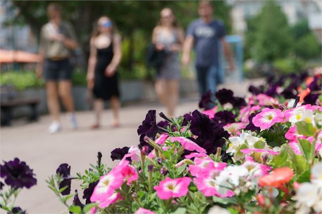 massif fleuri - Ville d'Evian (la Nouvelle Image)