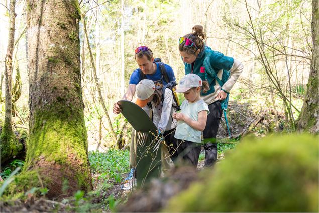 Le sentier des étoiles_Aillon-le-Jeune - Alpigraphie