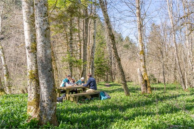 Le sentier des étoiles_Aillon-le-Jeune - Alpigraphie